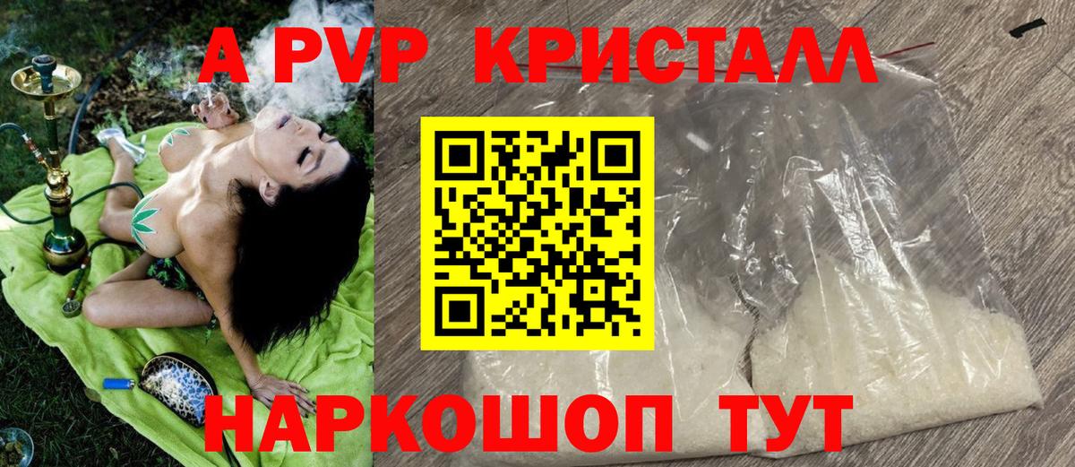 Альфа ПВП СК Шахты