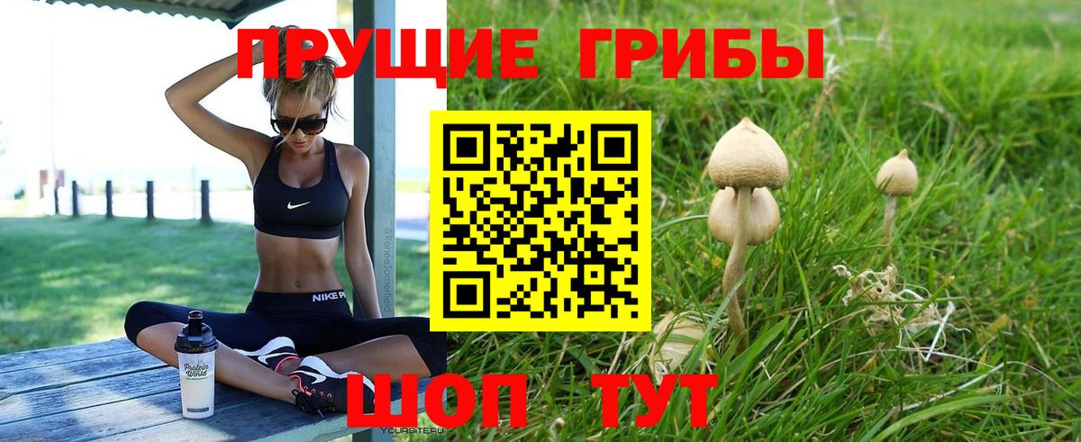 Псилоцибиновые грибы прущие грибы Шахты